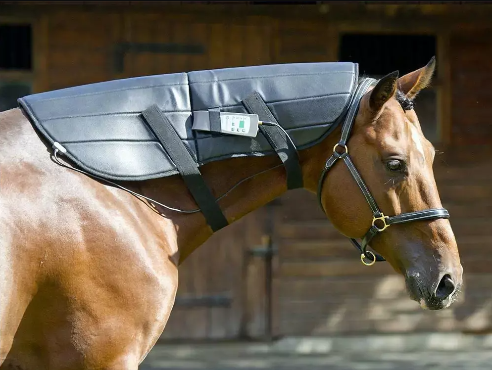 Equine PEMF Therapy Neck Wrap - Oxford Medical Instruments Equine PEMF Therapy Neck Wrap - Oxford Medical Instruments