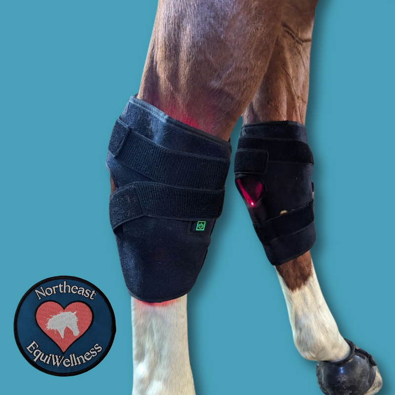 The "Hock Helper" - Red / Near-Infrared Light Therapy Hock Wrap for Horses Horse Red Light Hock Wrap Boot Therapy