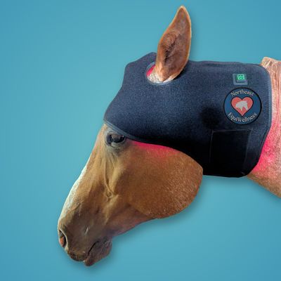 Professional Light Therapy Bundle - 1 Happy Hat, 2 Hock Helpers, 2 Illumiboots