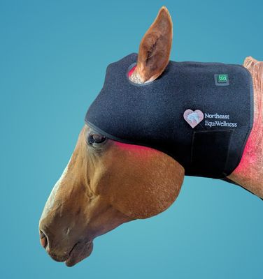 The &quot;Happy Hat&quot; - Red Light Therapy Poll Cap for Horses