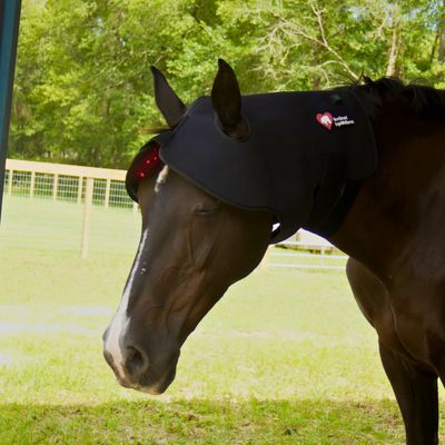 Northeast EquiWellness Happy Hat - Red Light Therapy Poll Cap for Horses
