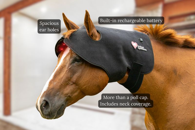Northeast EquiWellness Happy Hat - Red Light Therapy Poll Cap for Horses