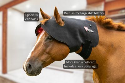 Northeast EquiWellness Happy Hat - Red Light Therapy Poll Cap for Horses