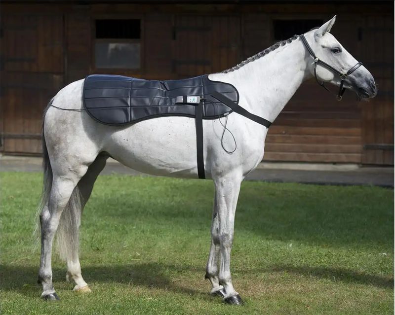 Equine PEMF Therapy Blanket by Oxford Medical Instruments