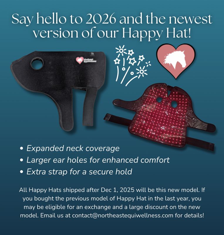 Northeast EquiWellness Professional Light Therapy Bundle - 1 Happy Hat, 2 Hock Helpers, 2 Illumiboots