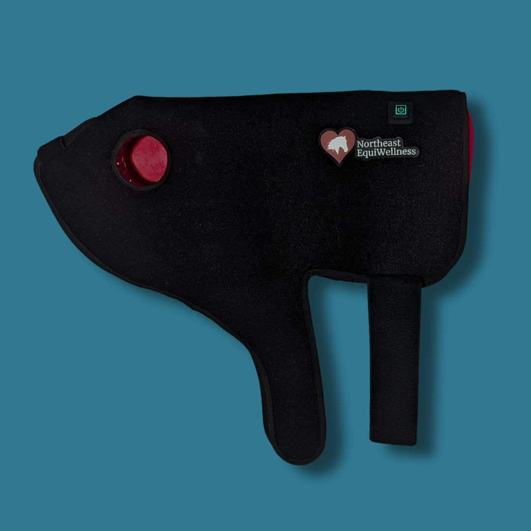 Professional Light Therapy Bundle - 1 Happy Hat, 2 Hock Helpers, 2 Illumiboots