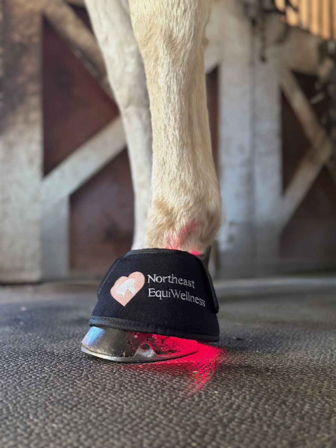 Brilliant Bell Boot - Red / Near-Infrared Light Therapy Boot for Horses