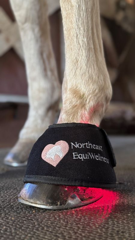 Northeast EquiWellness GlowLine Bell Boot - Red / Near-Infrared Light Therapy Hoof Boot for Horses