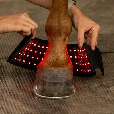 Northeast EquiWellness GlowLine Bell Boot - Red / Near-Infrared Light Therapy Hoof Boot for Horses