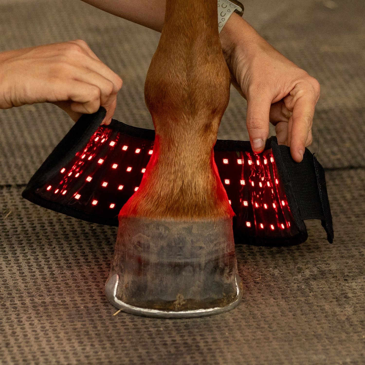 Northeast EquiWellness GlowLine Bell Boot - Red / Near-Infrared Light Therapy Hoof Boot for Horses