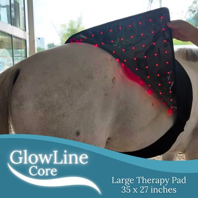 Northeast EquiWellness GlowLine Core - Large Equine Light Therapy Pad for Horses (35" x 27")