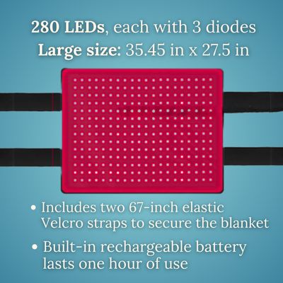 Northeast EquiWellness GlowLine Core - Large Equine Light Therapy Pad for Horses (35" x 27")