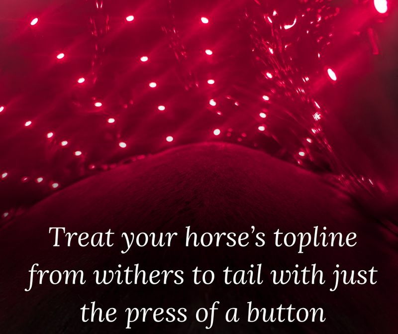 Northeast EquiWellness GlowLine+ XL Red Light Therapy Blanket for Horses, 53" x 28"