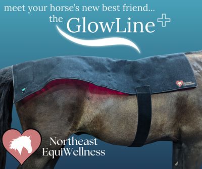 Northeast EquiWellness GlowLine+ XL Red Light Therapy Blanket for Horses, 53" x 28"