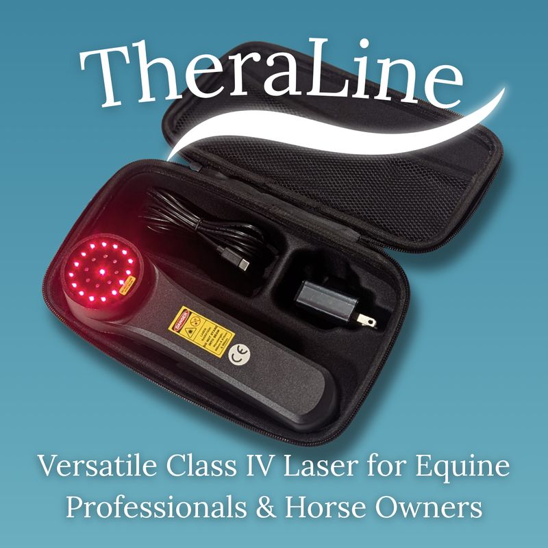 TheraLine Cold Laser for Horses