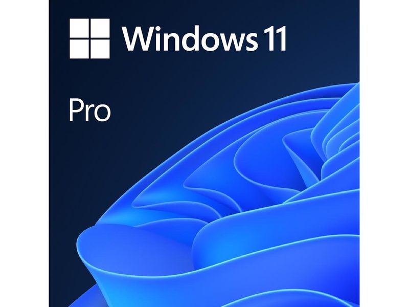windows 11 pro oem software download