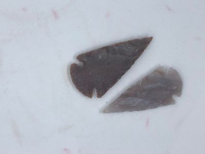 2&quot; Arrowheads