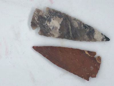 3&quot; Arrowheads