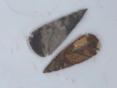 4&quot; Arrowheads