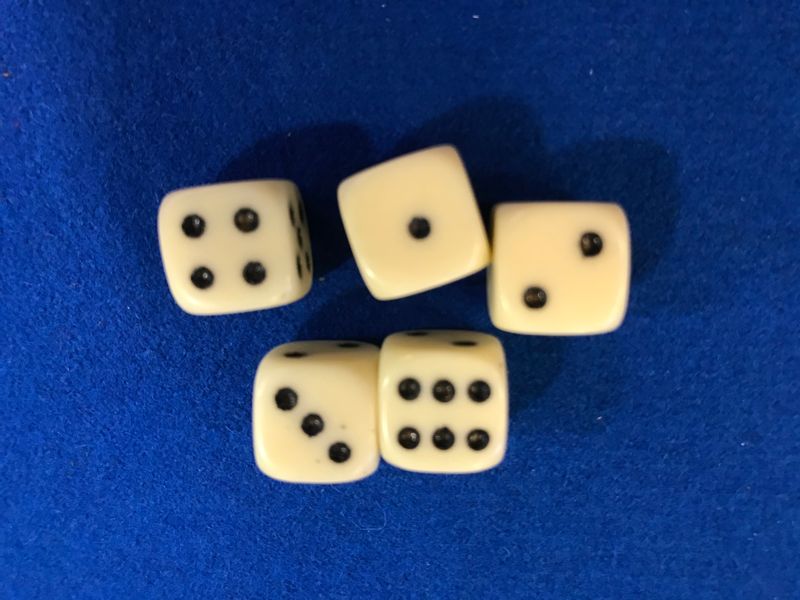 White Bagged Dice 5pc Set