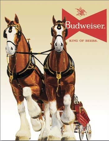 TN405 BUD  Budweiser King of Beers HORSE TIN