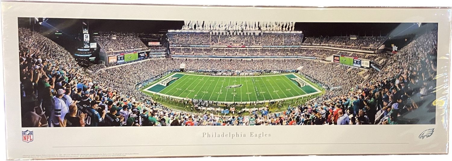 Philadelphia Eagles  #6 stadium Bagged Panorama 40&quot; x 13.5&quot;