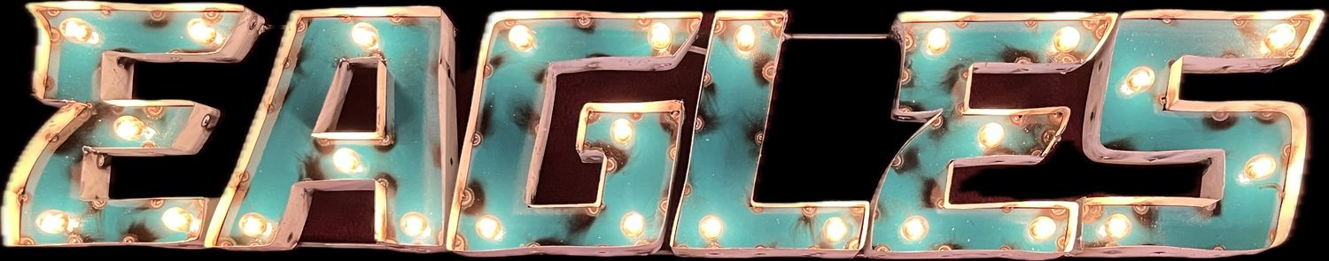 Philadelphia Eagles Lighted Recycled Metal Sign