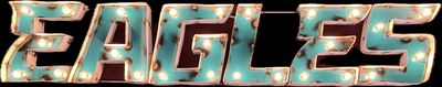 Philadelphia Eagles Lighted Recycled Metal Sign