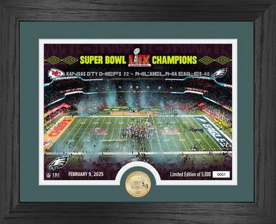 Philadelphia Eagles Super Bowl LIX Champions CELEBRATION Bronze Coin Photo Mint 13&quot; x 16&quot; Framed Picture