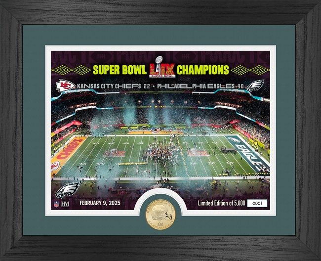 Philadelphia Eagles Super Bowl LIX Champions CELEBRATION Bronze Coin Photo Mint 13&quot; x 16&quot; Framed Picture