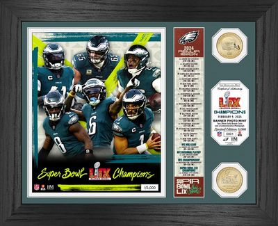 PHILADELPHIA EAGLES SUPER BOWL LIX CHAMPIONS BRONZE  COIN PHOTO MINT 13&quot; X 16&quot; FRAMED PICTURE