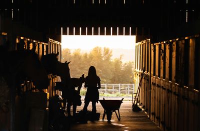 Stable and Grooming