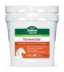 Stance Turmericle