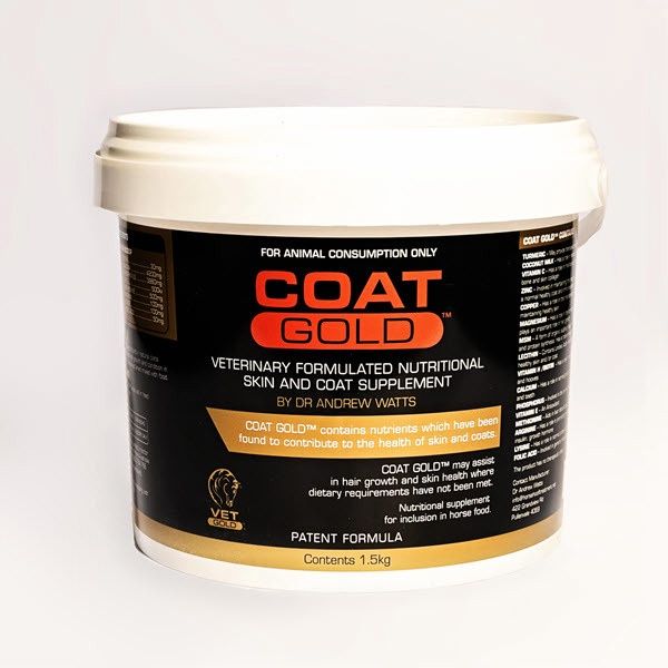 Coat Gold