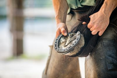 Farrier Products