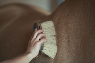 Grooming