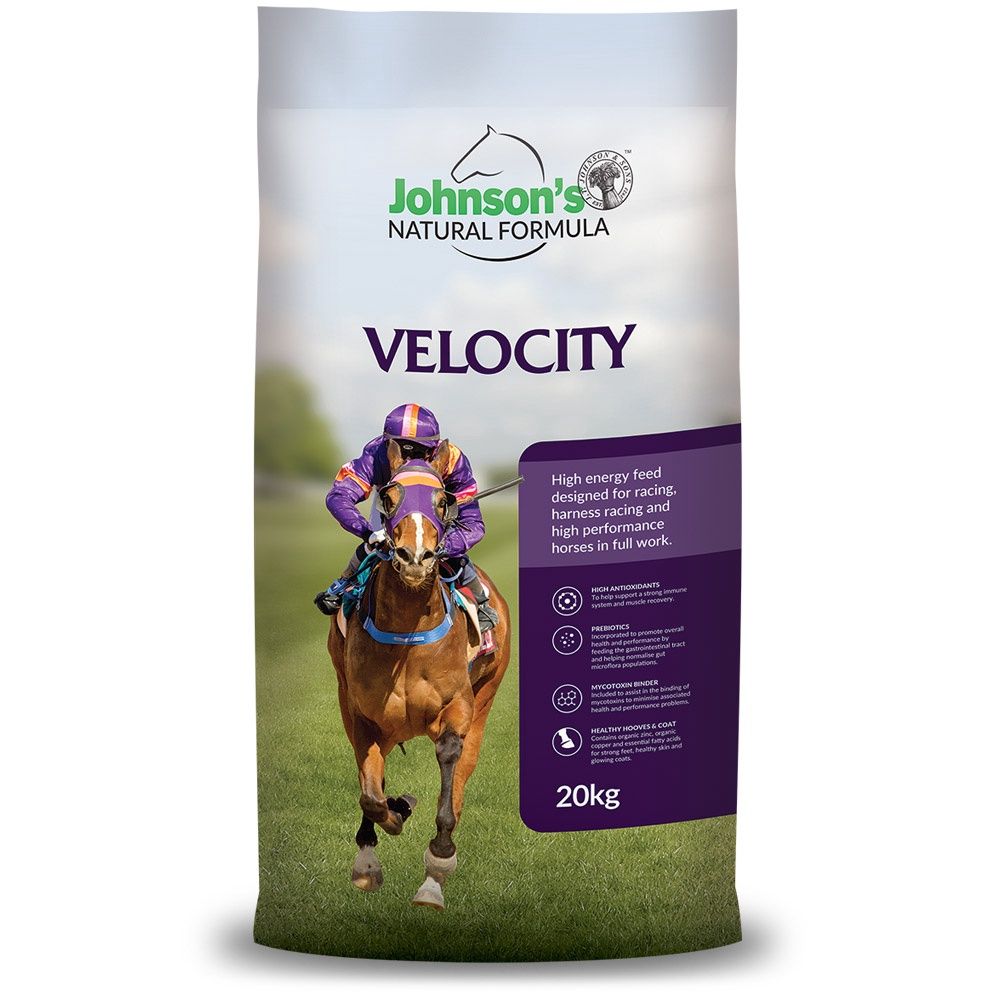Velocity