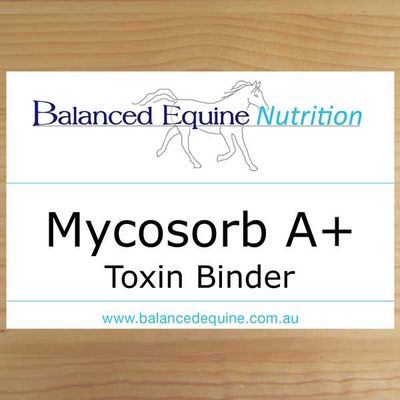 Balanced Equine - Mycosorb A+