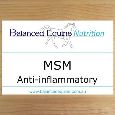 Balanced Equine - MSM (2kg)