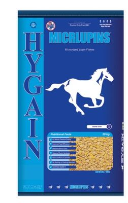 Micrlupin