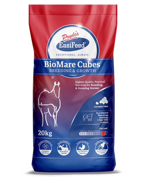BioMare