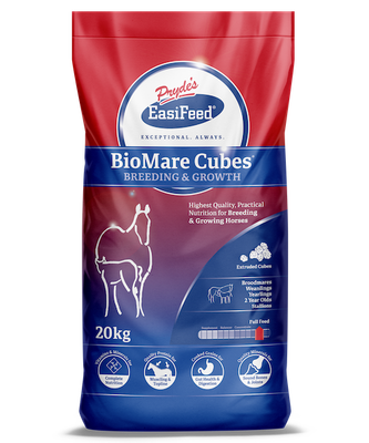 BioMare