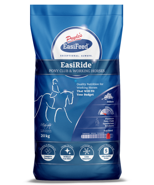 EasiRide
