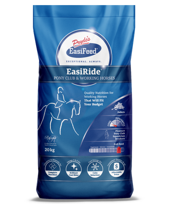 EasiRide