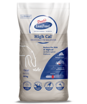 High Cal