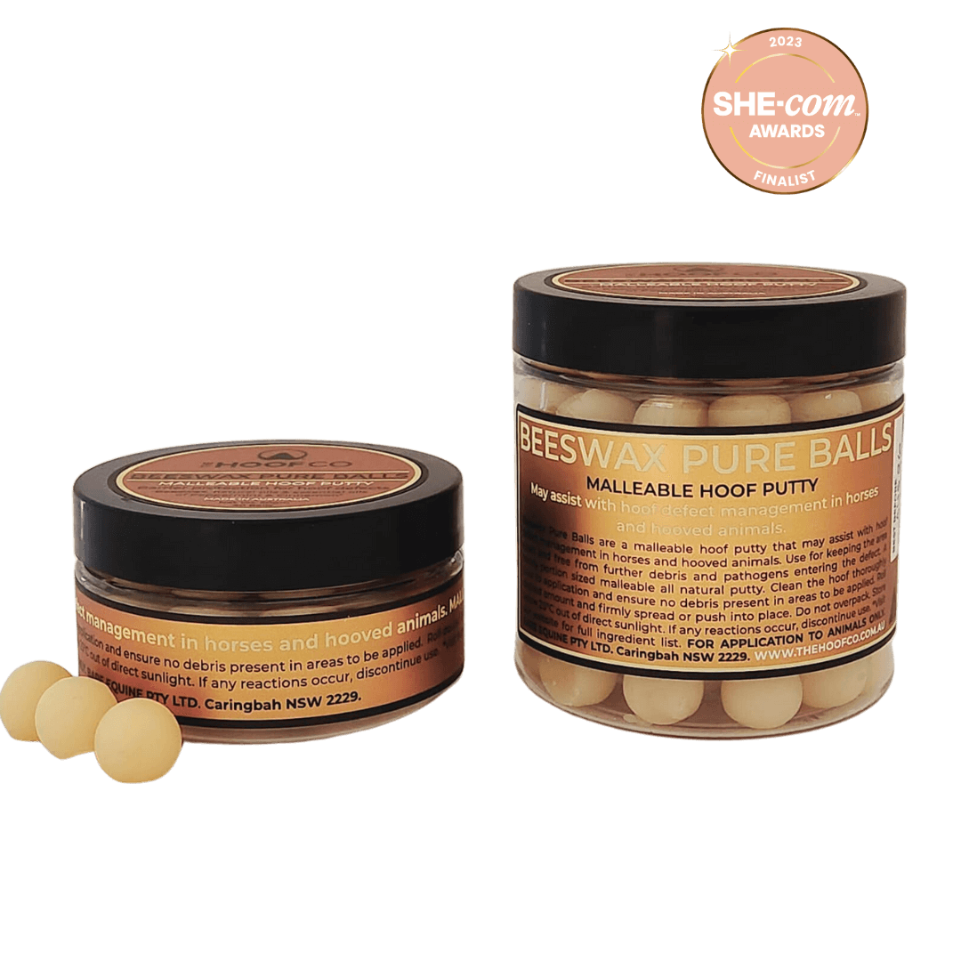 Beeswax PURE Balls 40 Balls Jar