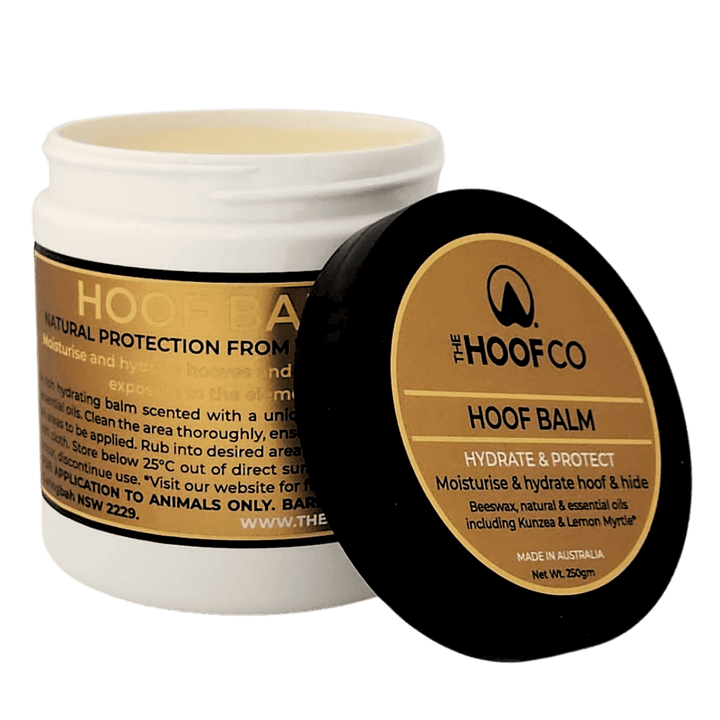 Hoof Balm - Lube those hooves