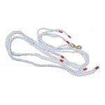 Draw Reins