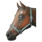 Web Halter 1&quot;