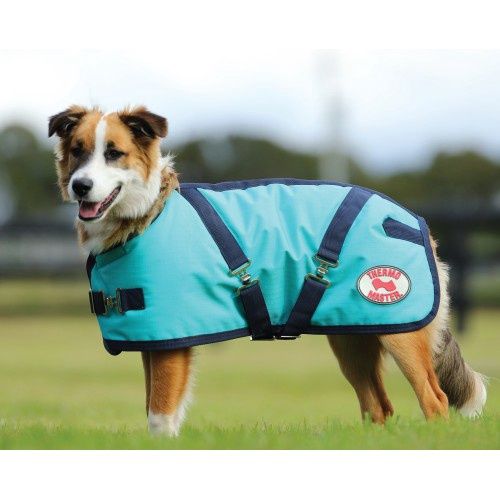 Supreme Dog Coat Teal/Navy